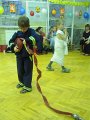 DSCN7968