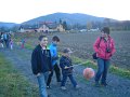 DSCN8221