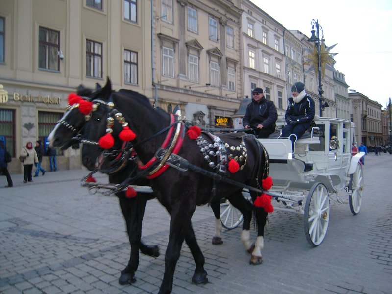 DSCN9934.JPG