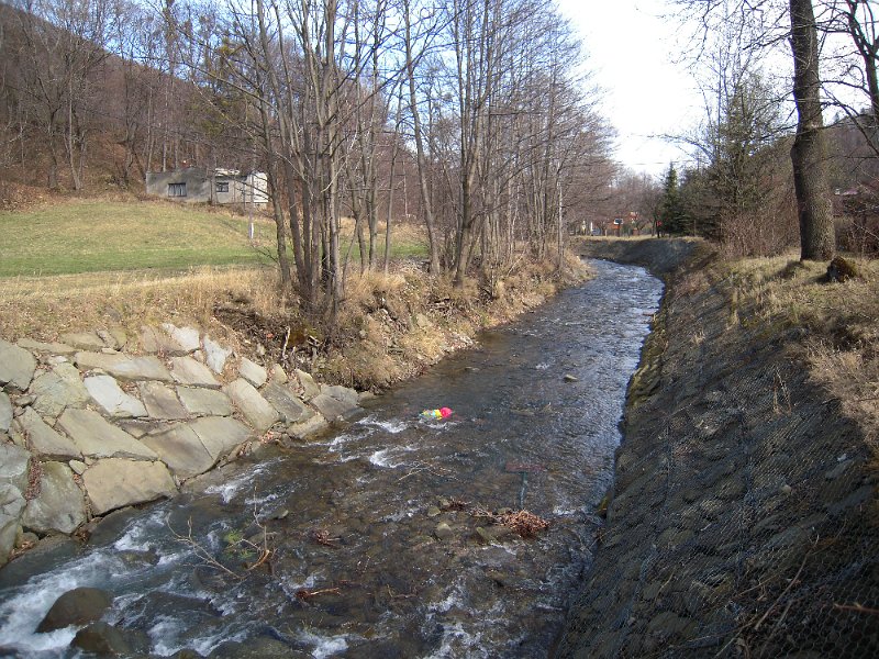 DSCN9243.JPG