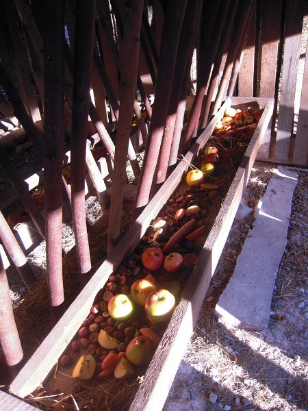 DSCN7293.JPG