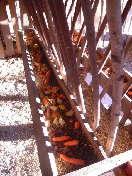 DSCN7294.JPG