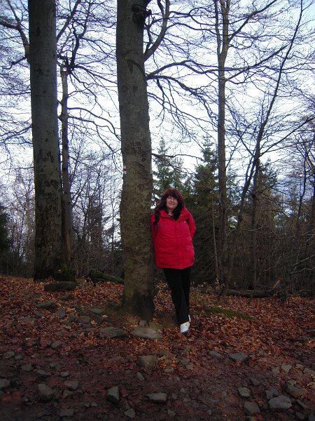 DSCN8813.JPG