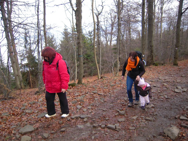 DSCN8823.JPG