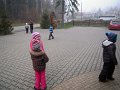 DSCN8937