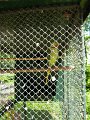 DSCN0680